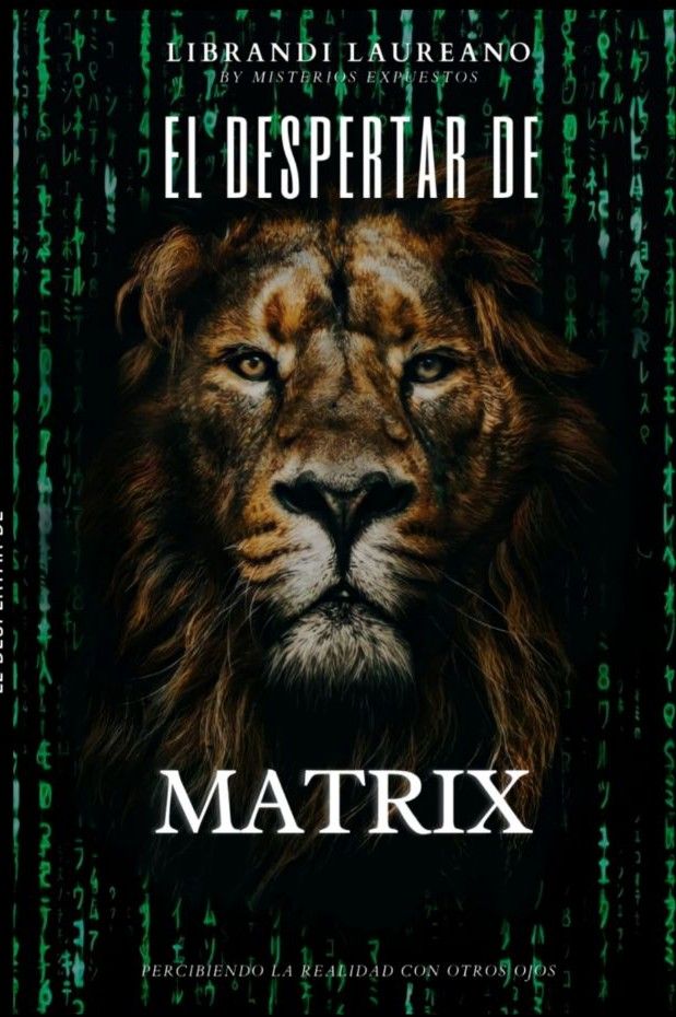 EL DESPERTAR DE MATRIX