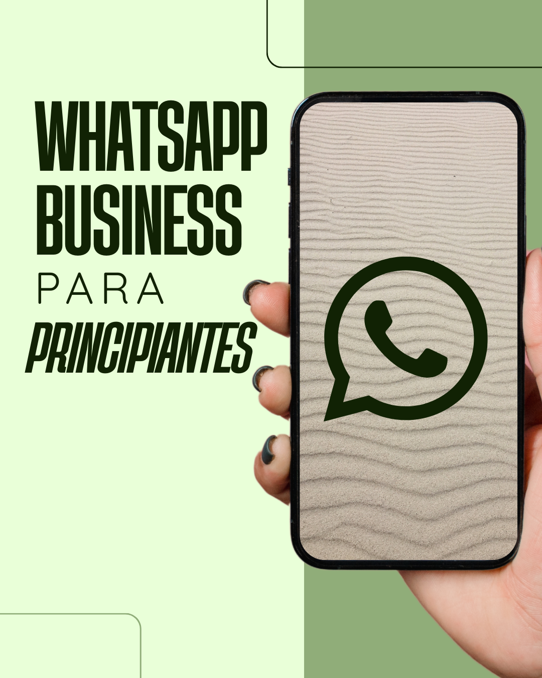 WhatsApp Business para Principiantes