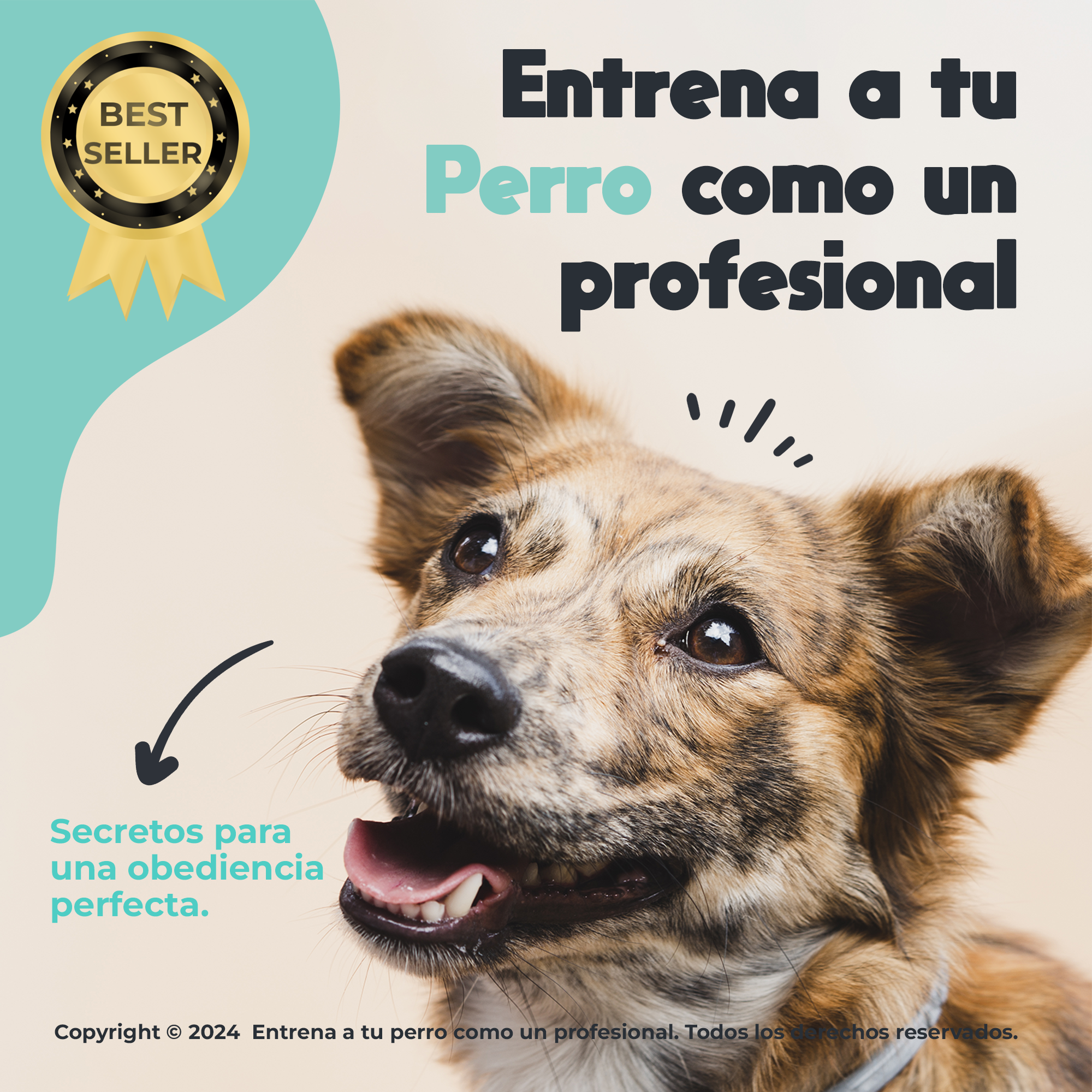 Entrena a tu Perro como un Profesional: Secretos para una Obediencia Perfecta