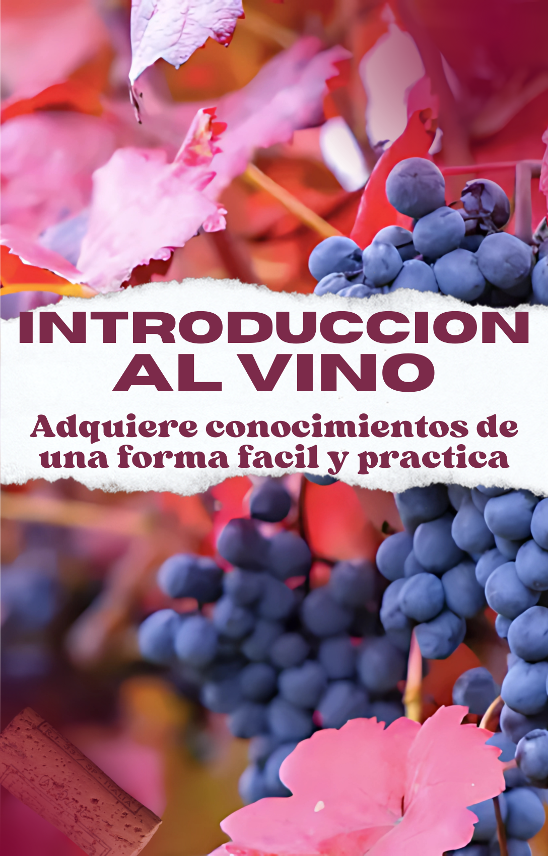 SOMMOMENTOS INTRODUCCION AL VINO