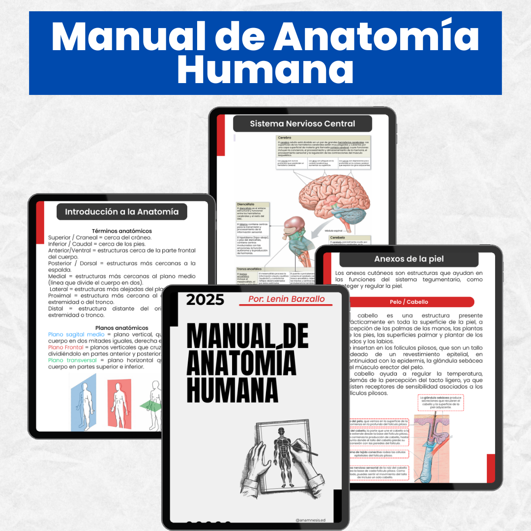 ???? Manual de Anatomía Humana
