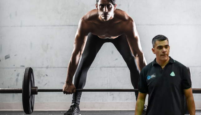 Programación del Entrenamiento de Fuerza