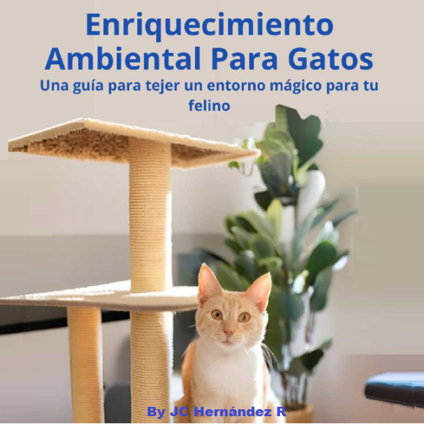 Enriquecimiento Ambiental para Gatos