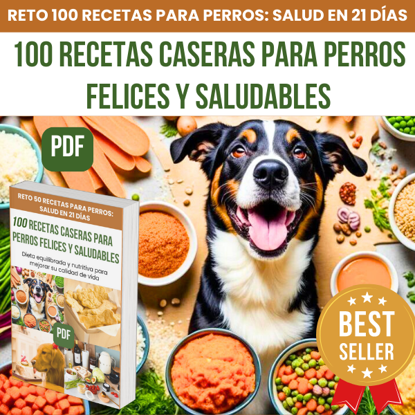 100 Recetas Caseras para Perros Felices y Saludables