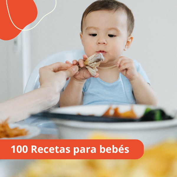 100 Recetas para bebés