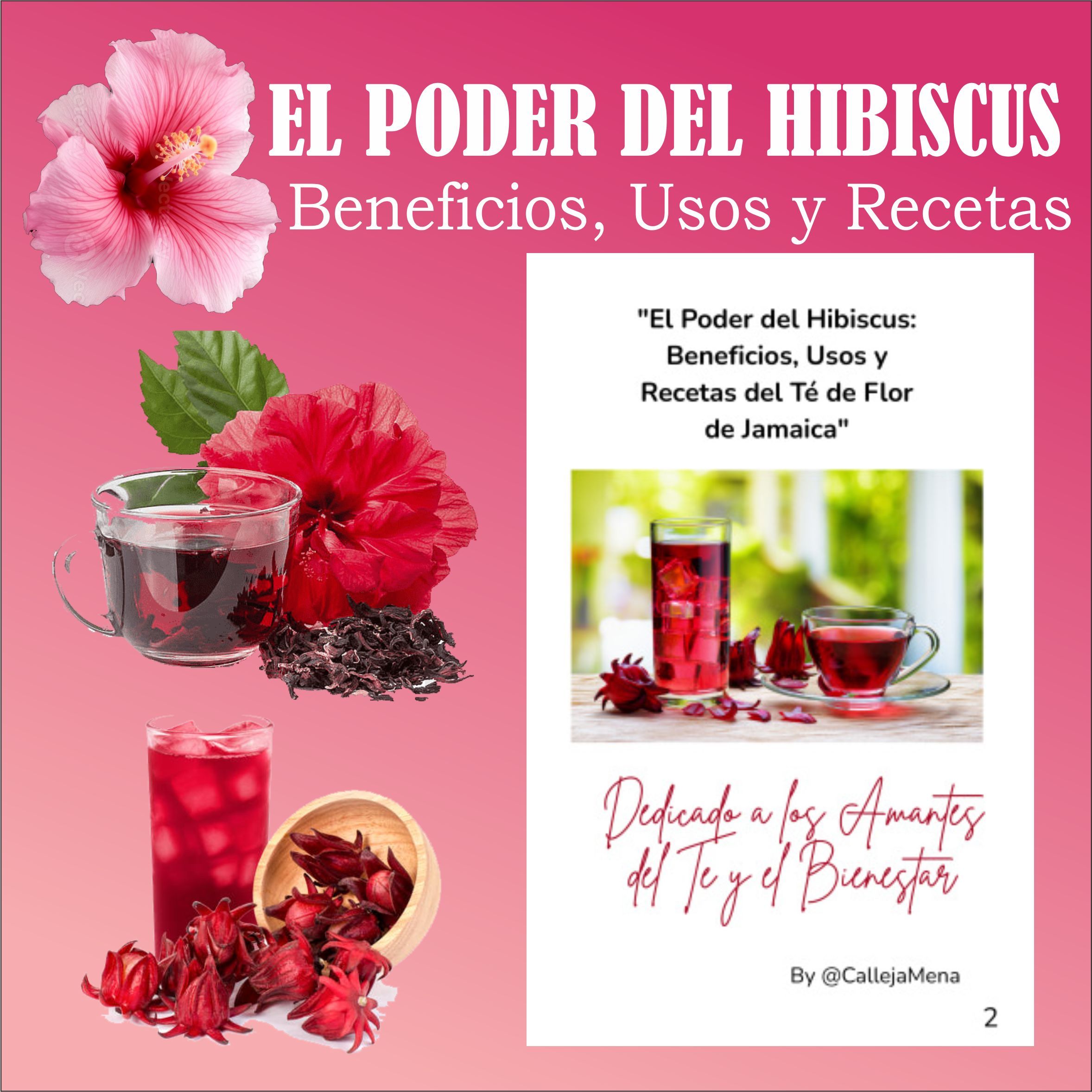 El Poder del Hibiscus: Beneficios, Usos y Recetas del Té de Flor de Jamaica