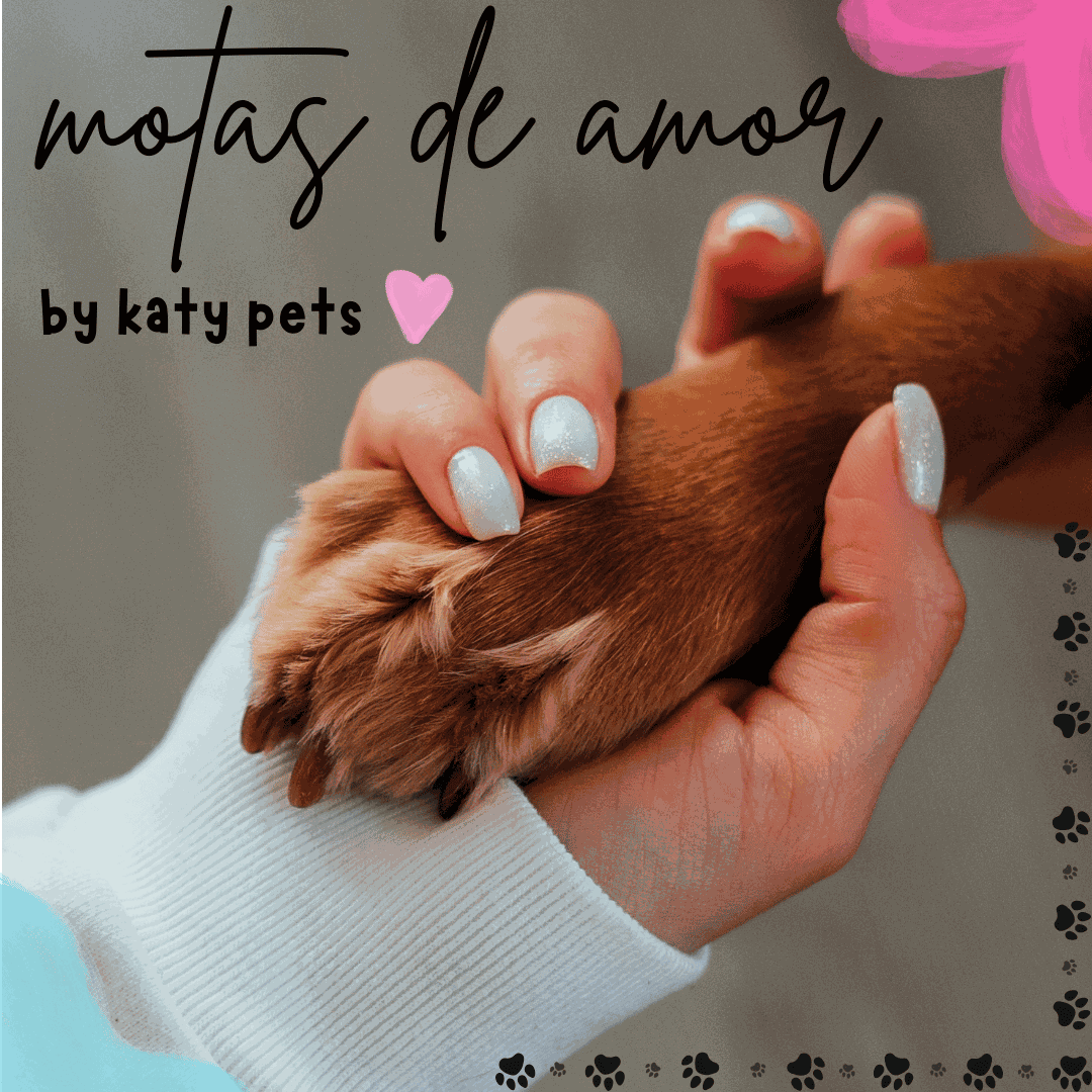 motas de amor -guia para mascotas