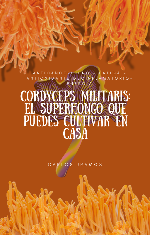 Hongo fitness en casa