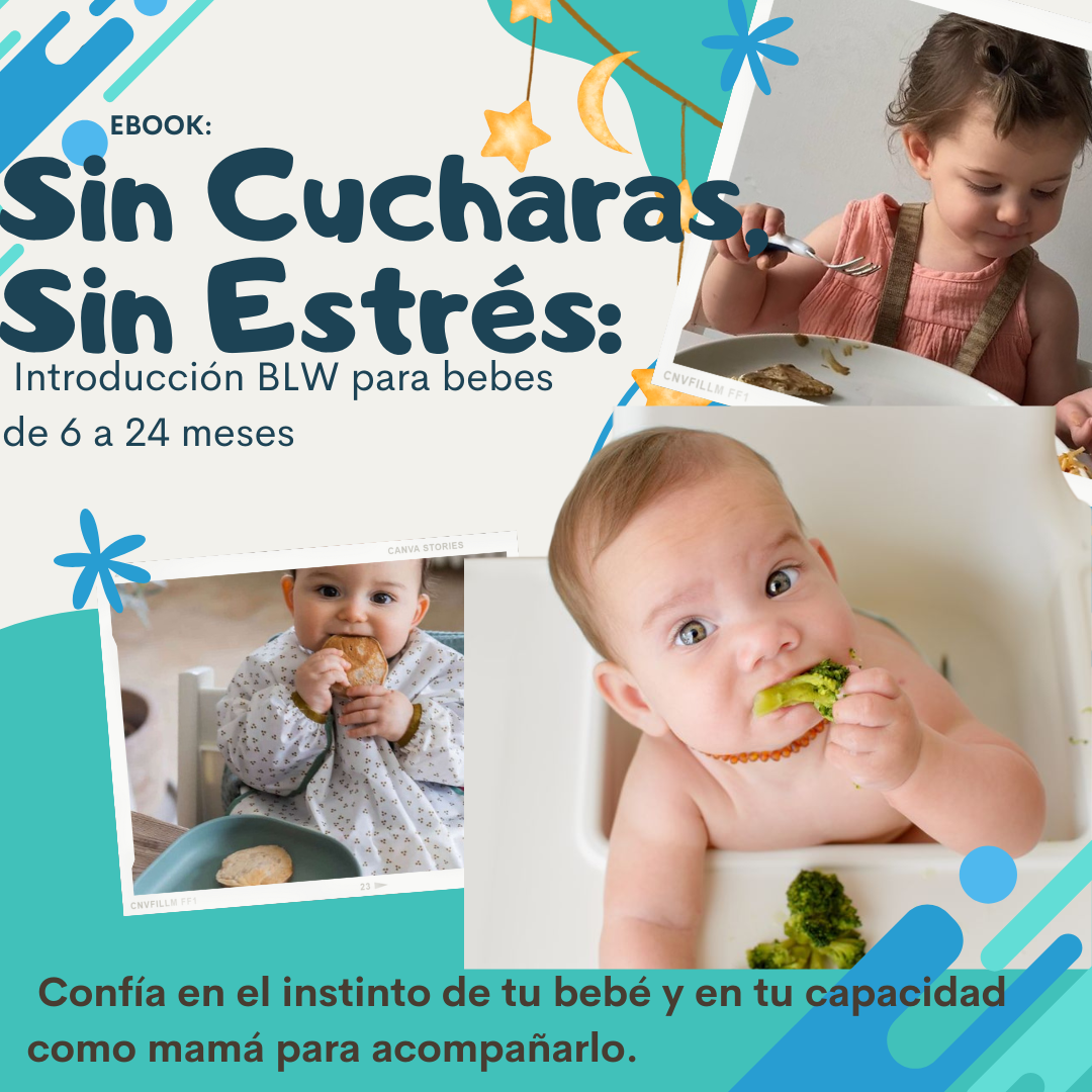 Sin Cucharas,Sin Estrés: Introducción BLW para bebes de 6 a 24 meses