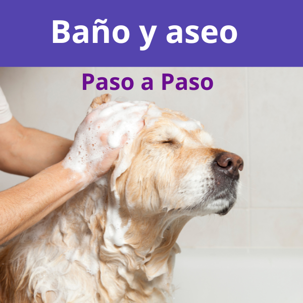 Introducción al baño y aseo