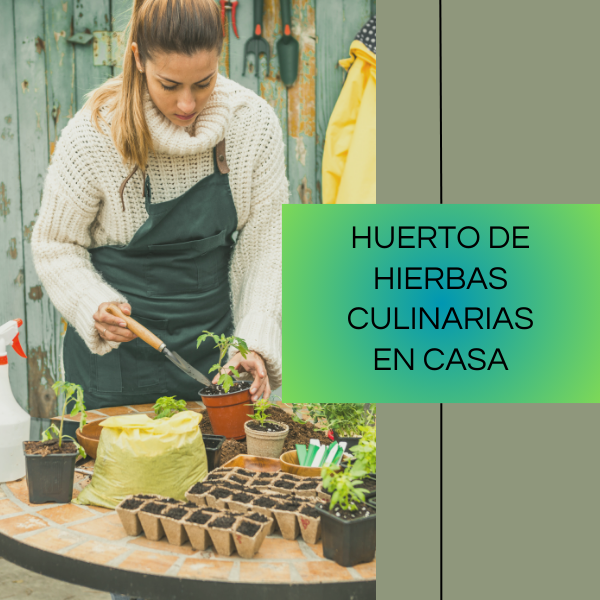 Guía para montar un huertos de hierbas culinarias en casa