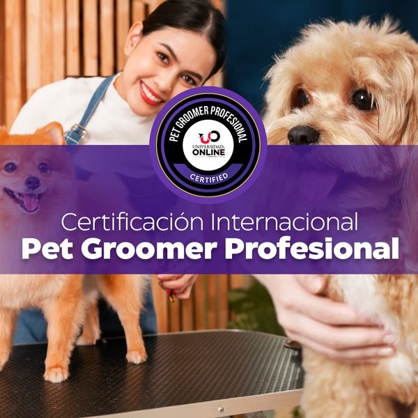 Suficiencia Académica para la Certificación Internacional de Pet Groomer Profesional