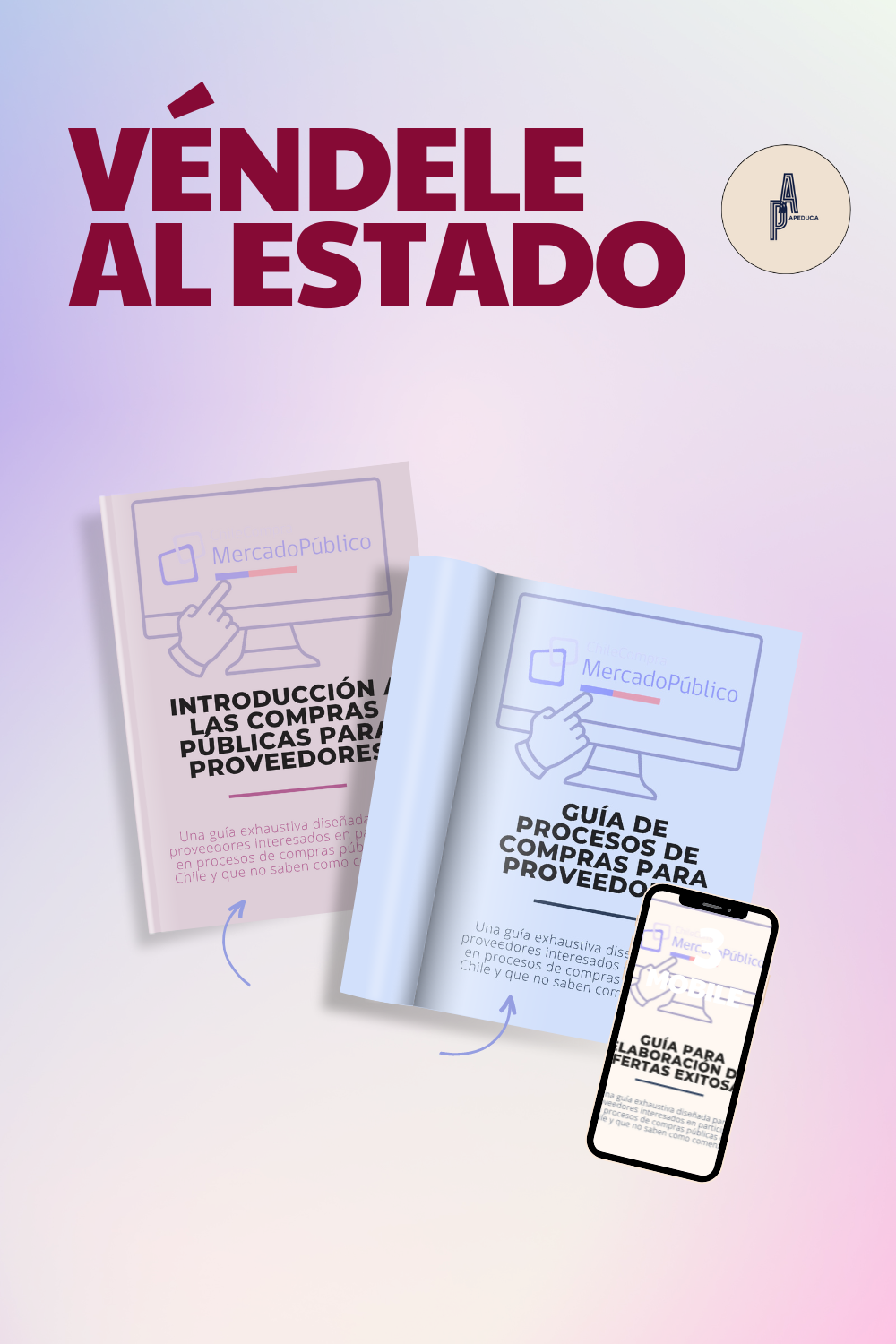 Véndele al Estado en 3 Pasos