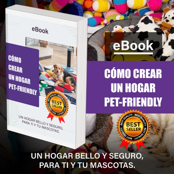 Cómo Crear un Hogar Pet-Friendly