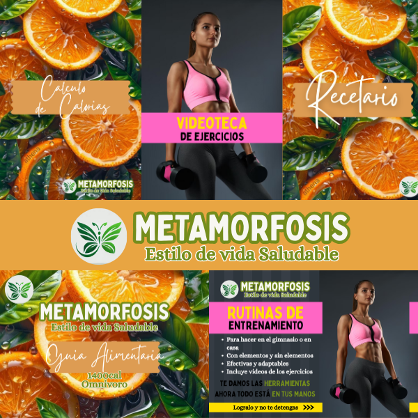 TODO lo que NECESITAS para bajar de peso (Dieta y Ejercicios)