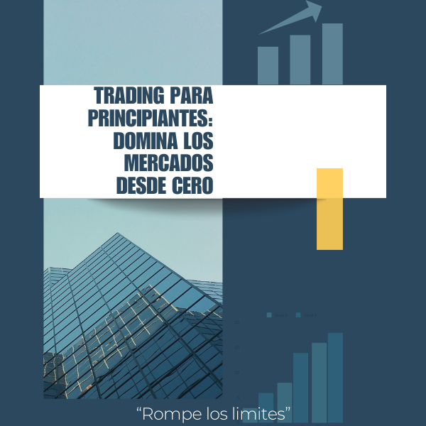 Trading Para Principiantes Guia Completa
