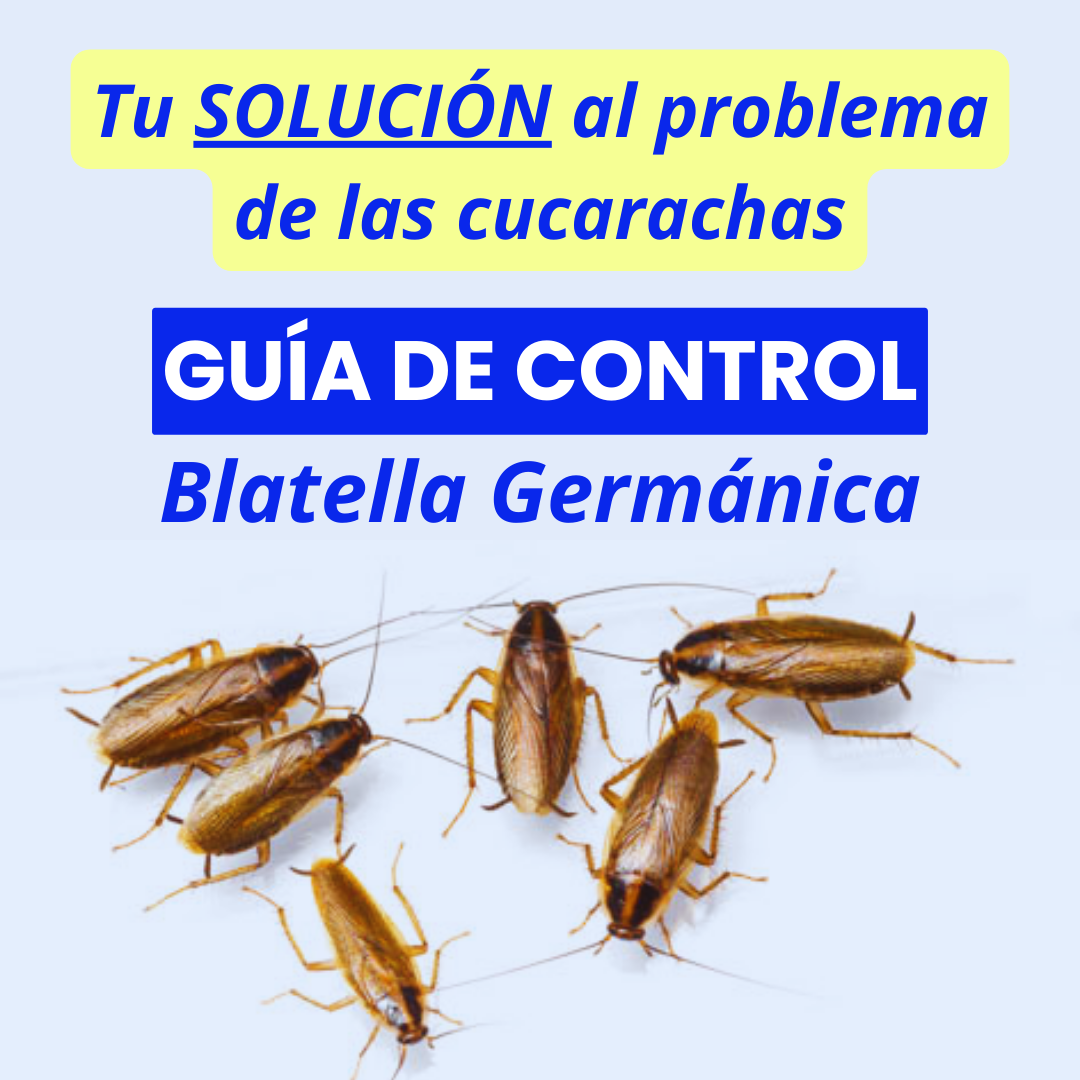 GUIA CONTROL DE CUCARACHAS BLATELLA GERMÁNICA